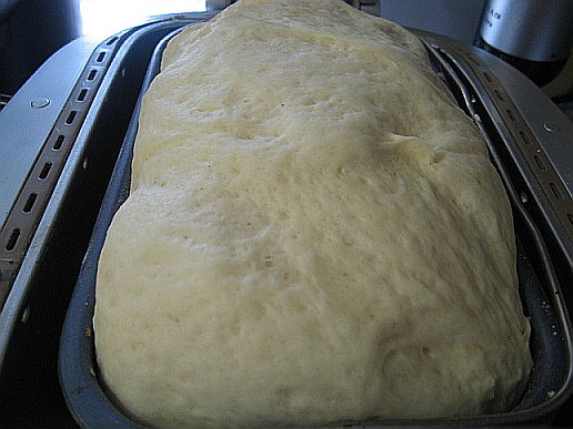 Рецепт дрожжевых пирожков в хлебопечке. Тесто для хлебопечки. Тесто для булочек в хлебопечке. Тесто в хлебопечке Скарлет. Тесто на пироги дрожжевое. В хлебопечке.